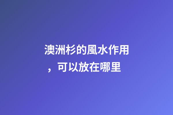 澳洲杉的風水作用，可以放在哪里